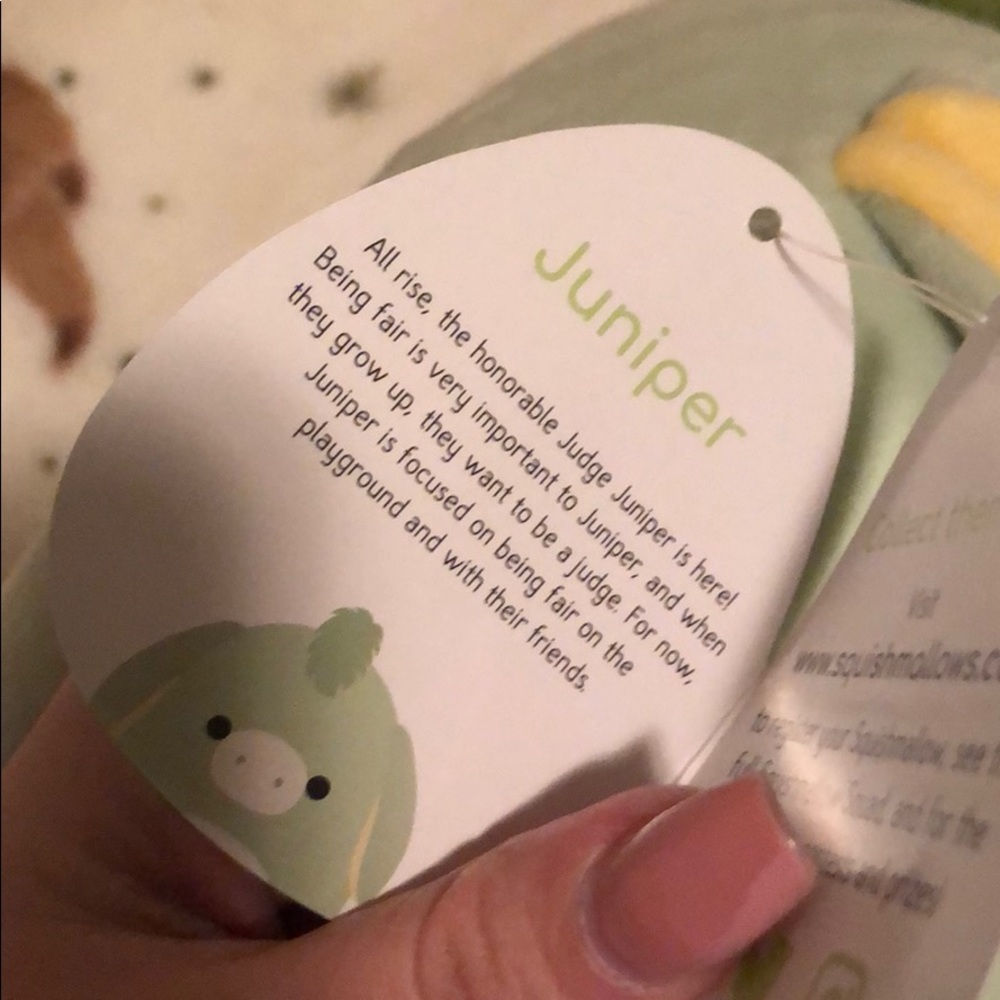 Squishmallow Juniper 8” Mint Donkey - Picture 2 of 2